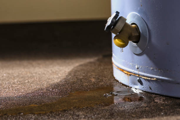 Best Ceiling water damage repair  in East Berwick, PA