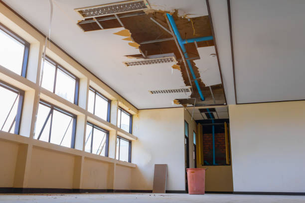 Best Flooded house restoration  in East Berwick, PA