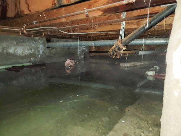 24/7 water damage repair in East Berwick, PA