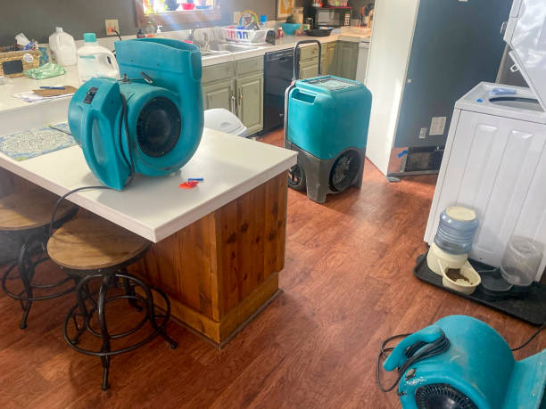 Best Flood damage cleanup  in East Berwick, PA