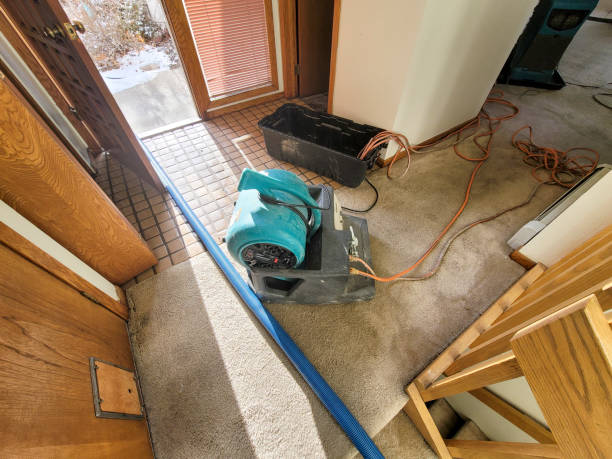Best Mold removal after water damage  in East Berwick, PA