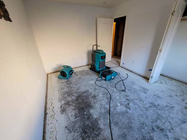 Best Water damage restoration near me  in East Berwick, PA