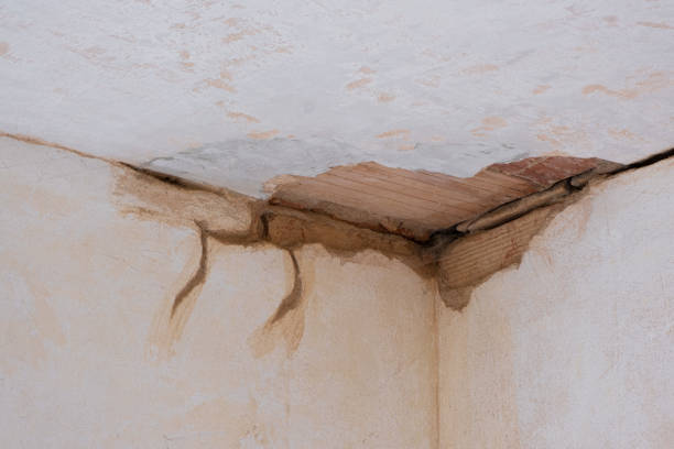 Best Ceiling water damage repair  in East Berwick, PA