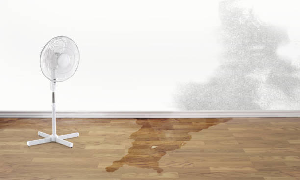 East Berwick, PA Water damage restoration Company