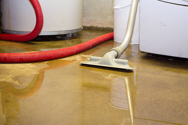 Water damage restoration mold remediation in East Berwick, PA