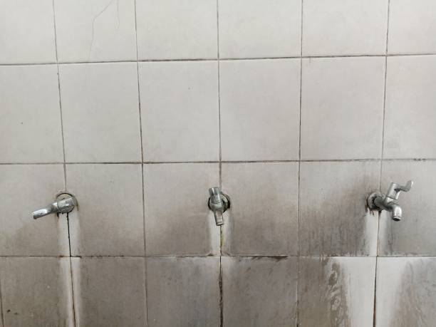  East Berwick, PA Water damage restoration Pros