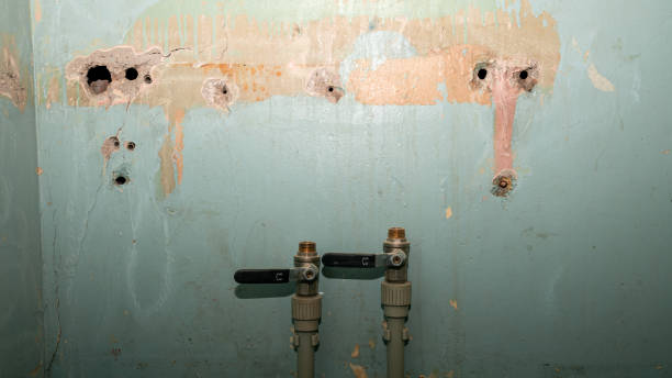  East Berwick, PA Water damage restoration Pros