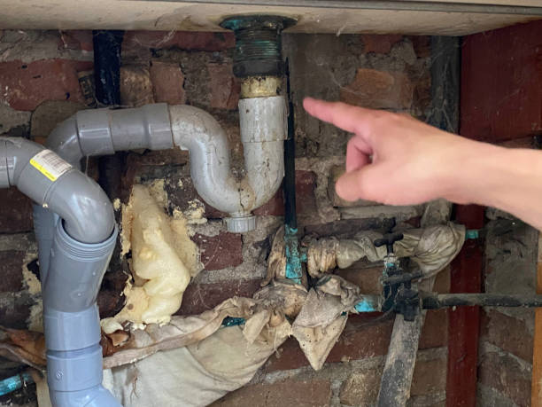 Best Flooded house restoration  in East Berwick, PA