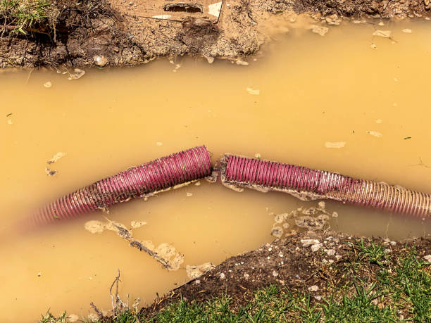 Best Water damage contractors near me  in East Berwick, PA