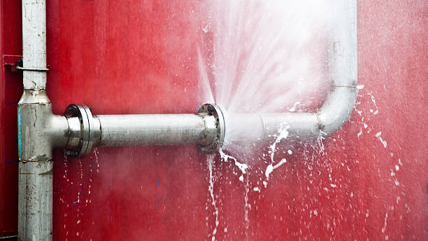 Best Basement water damage restoration  in East Berwick, PA