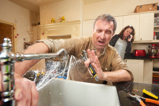 Best Water damage restoration services  in East Berwick, PA